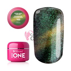 Gel UV Base One Magnetic Cameleon Rain Forest 5g
